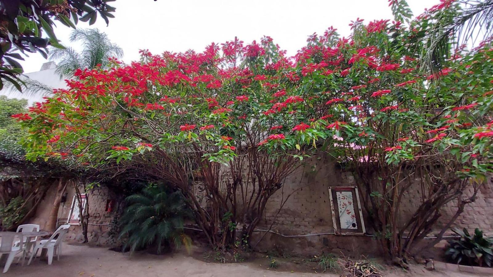 Samsara Hotel Salta Extérieur photo